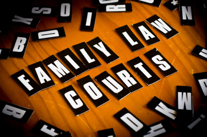 Family Law image